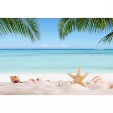 Vacanze Estive